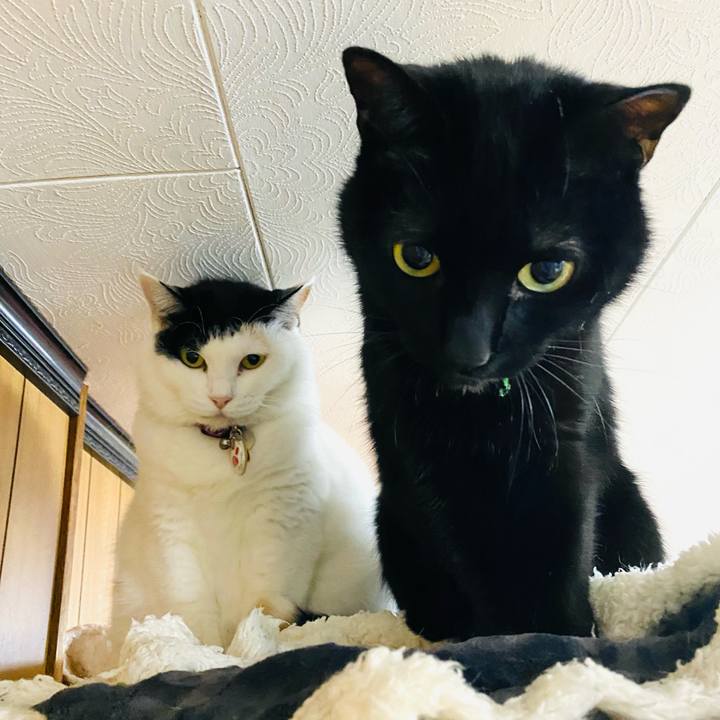 Ebcbc421 2ebe 41ee 934d ecf706ca6754 1738744747650