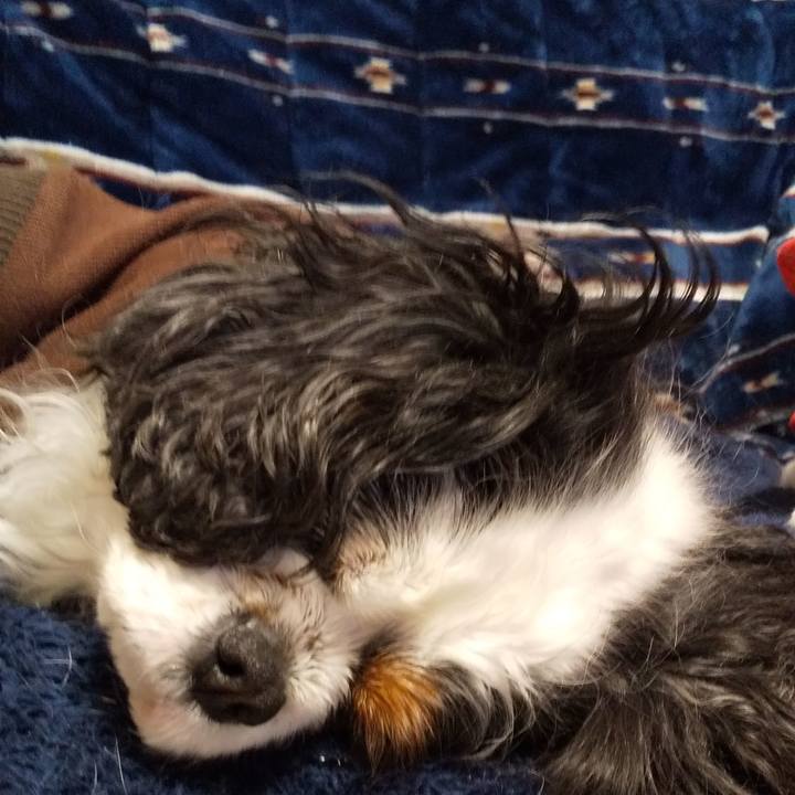 Ebcbce83 de0e 484f 8614 469c7f8520da 1586613987620