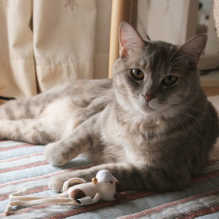 Ebcbf64b 3d2c 47cc a8fa d3ab93e729d3 1508070489684