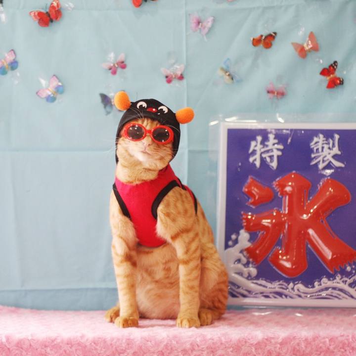 Ebcc1aa3 6706 4216 af80 3ce2865b7a26 1688886257360