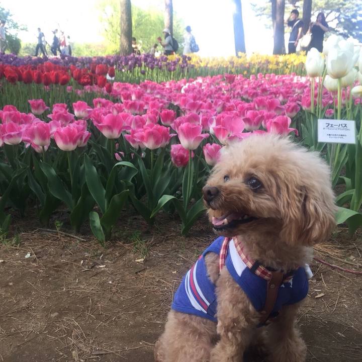 Ebcc2e42 645d 4088 bb00 6e0fa1545b34 1524380600870