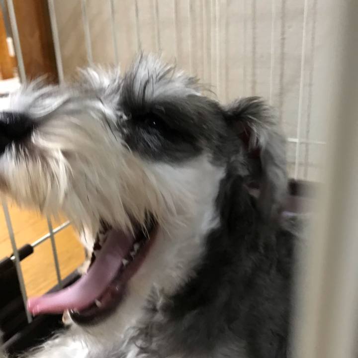 Ebcc7a09 0d6d 4fc1 a583 cd2c270f2e8b 1566149208695