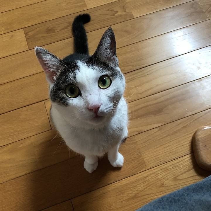 Ebcc80f4 68bb 47f6 94a7 99b20ebc1608 1662017246380