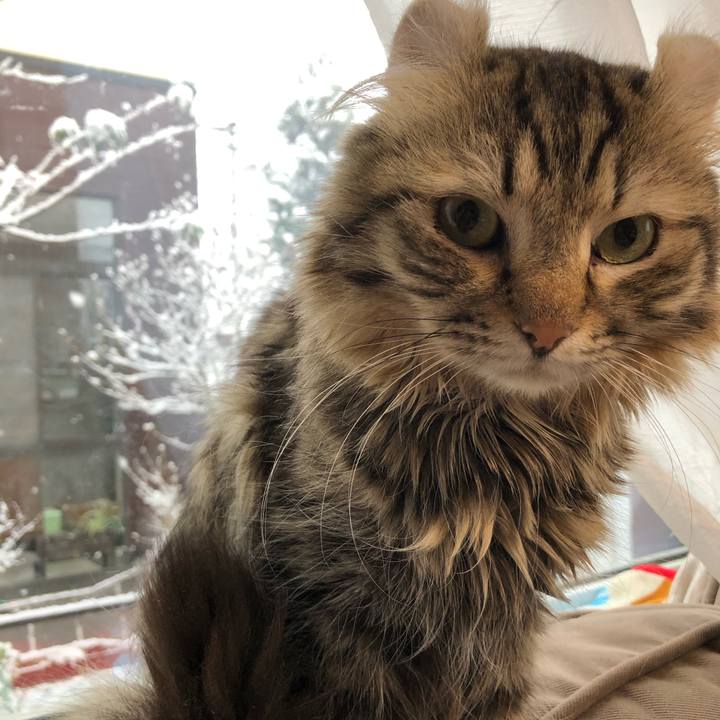 Ebcc92c3 2eb8 4a3b 8ecb 56105da6801b 1546826345464