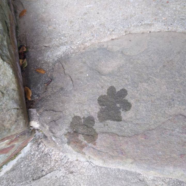 Ebcc959e 36a8 45fd b817 ecee9aa4e2a2 1769221187226