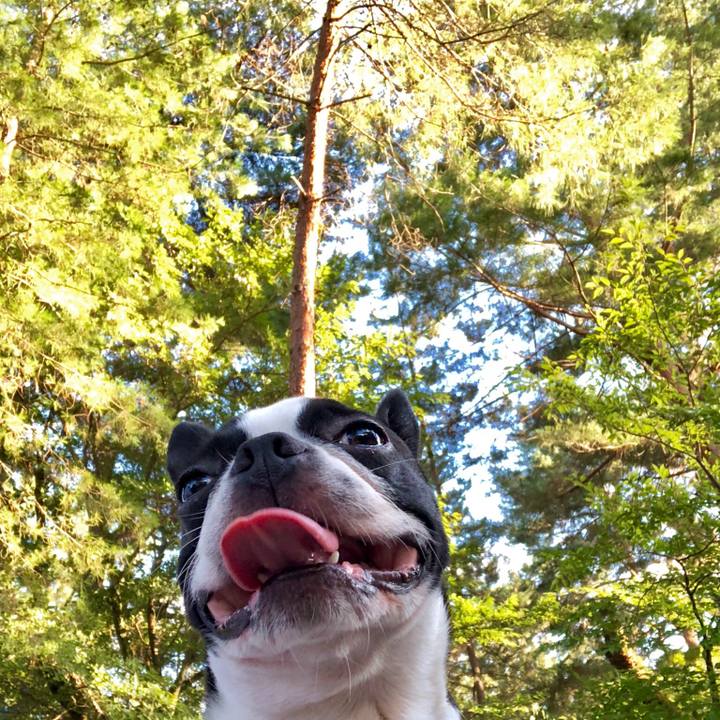 Ebcc9aa1 e30e 42bf 9f53 e38946f84215 1532864233116