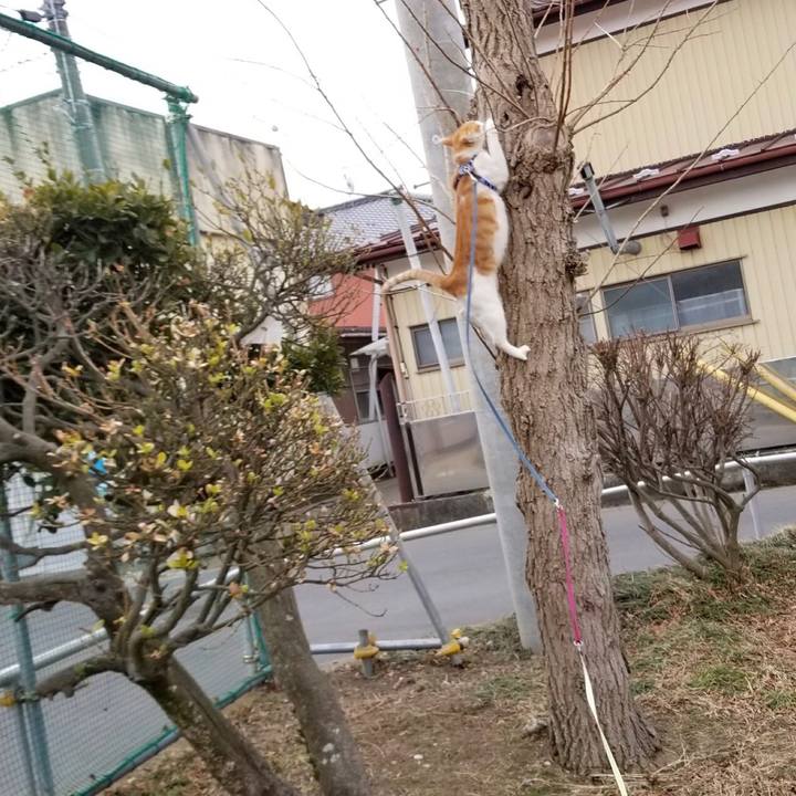 Ebcca00b e52d 4a8e 96b1 82499875c8a3 1519451551927