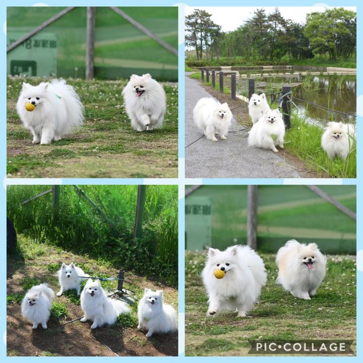 Ebcca836 2e1a 4144 9d49 471e097954cf 1556828325749