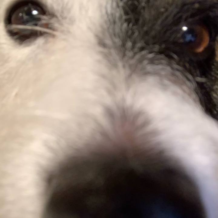 Ebcccfdb 9af8 430f 90d3 c5010e214a5c 1606127400357