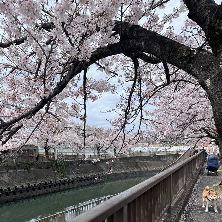 Ebcd2d54 6400 459d 95f7 67b99839e7b6 1679892297711