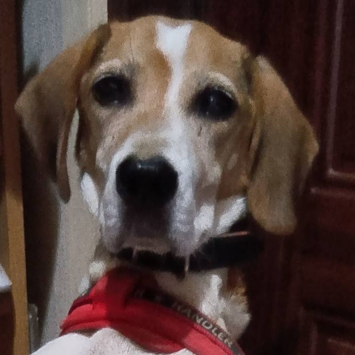 Ebcd7a82 2a8e 457d 8a2c 53b0d08f4740 1728220601404