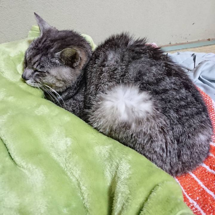 Ebcd9307 4517 42d8 9be3 0a2275ad159a 1592653367309