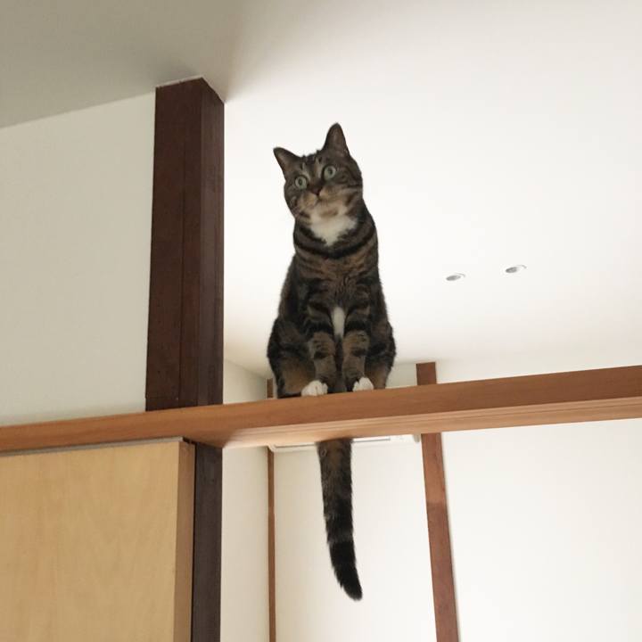 Ebcdbaea 56ca 41b1 8ce7 fd5378d82635 1557880002805