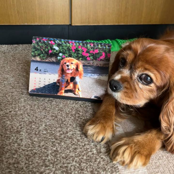 Ebcdc9bd 9bdf 434e bf50 edafb1f457c3 1680302647907