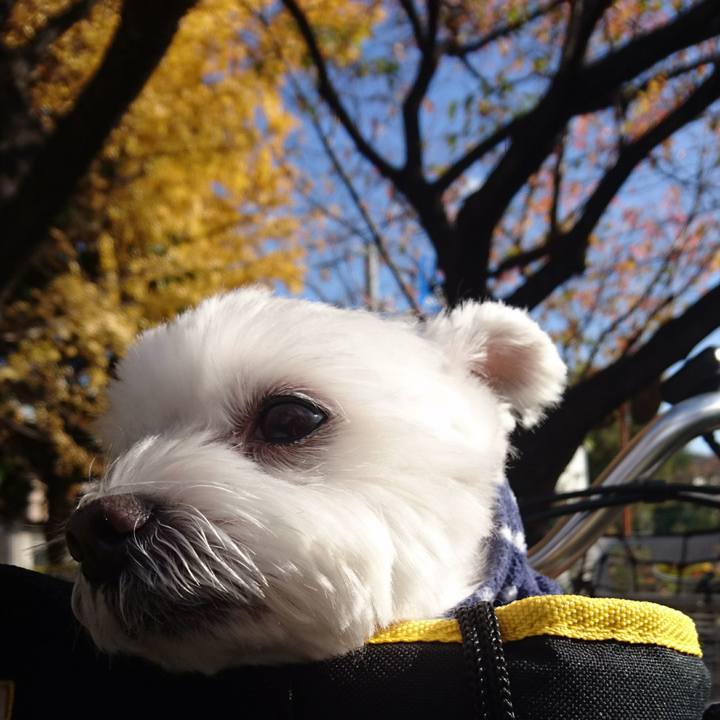 Ebce23b2 dc28 4e29 b990 f31fe648c9f3 1511680504704