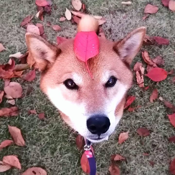 Ebce4c58 9ba4 4049 bc49 377a78f0710a 1605254418009