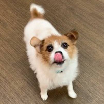 Ebcea80f 9325 4555 8815 668cc22ecca6 1574330303722