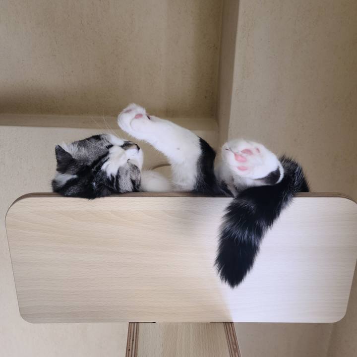 Ebcebd45 d828 40c8 aaa8 f5aef5177f71 1640050386711