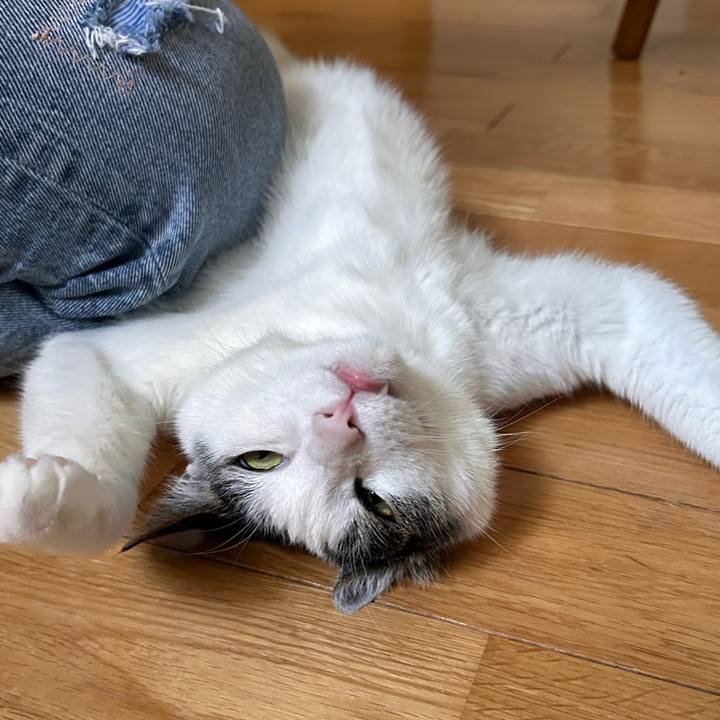 Ebcecc6d 60f3 4dc4 80ba 4657593cf863 1722047069748