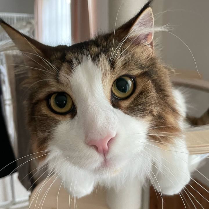 Ebcef1de c1b6 4823 b6e3 c6924295806b 1662756205092