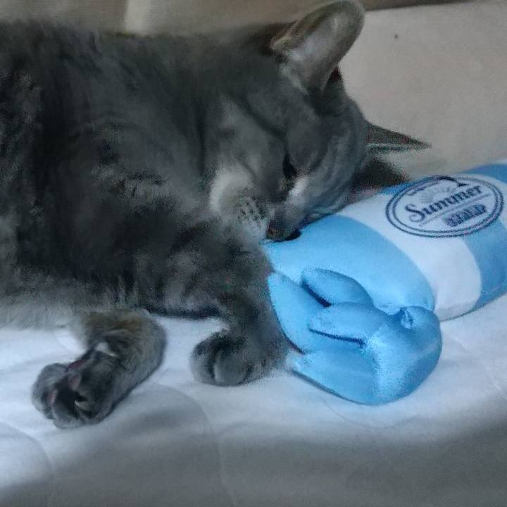 Ebcf21f3 2939 4a49 9f48 761ea5911916 1685220557285