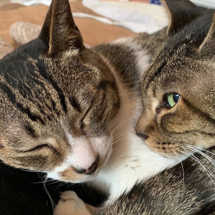 Ebcf4571 6899 4373 8a4b 0085300abfef 1550797364657