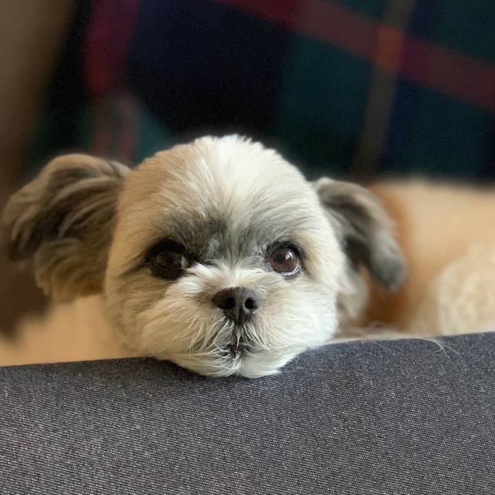 Ebcf49c5 60c7 4115 b127 119c428c277a 1602060457286