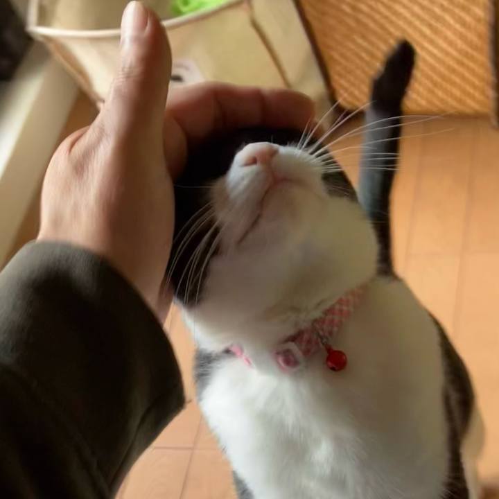 Ebcf4b06 d547 4eda af5b 72c53dcfeb52 1617414673159