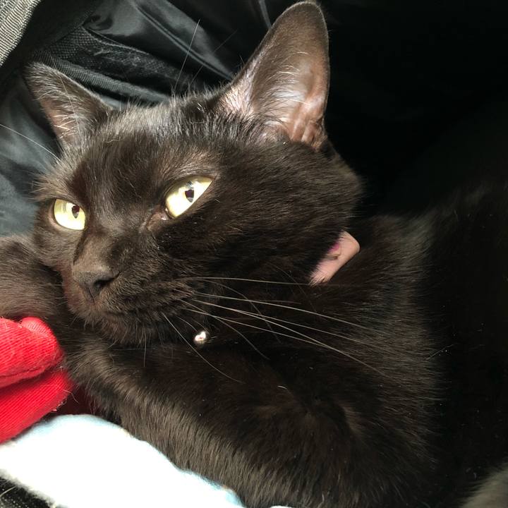 Ebcf59eb 76c8 4f7b 9c68 369fff8e2392 1630195133310