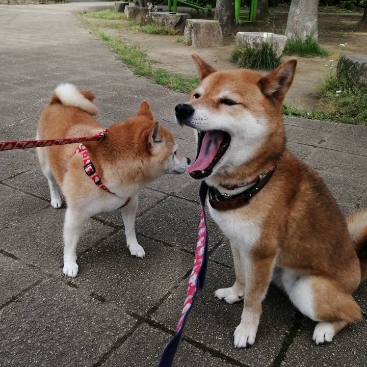 Ebcf7b06 5b46 4d01 b7c5 67566eff816e 1589331493008