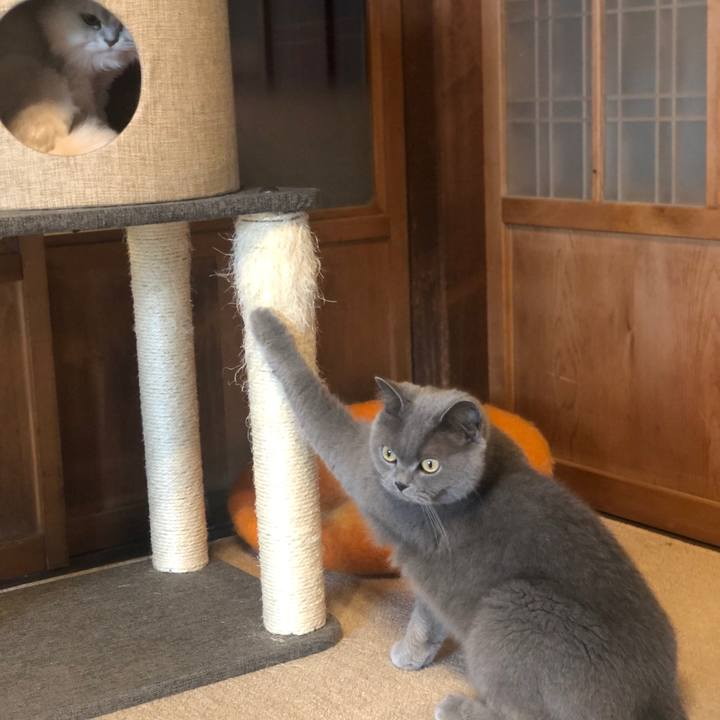 Ebcfa3ac 1c84 4d0d b4ac 2808d5f2e489 1589592353316