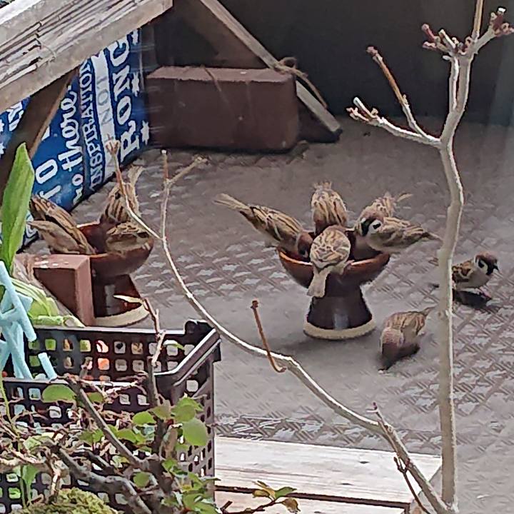 Ebcfc739 e75b 44df 90cb b3a11b2f7adc 1609381427396