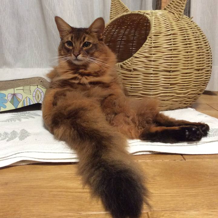 Ebd01b2c d318 4d94 99ea a5a81dfd18c4 1604242650583