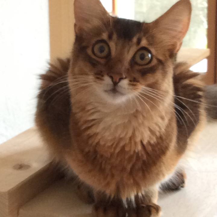 Ebd04f78 88ce 4b8c 85f2 1283ef75779a 1566862043102