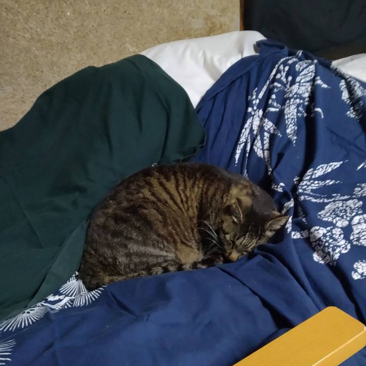 Ebd06115 a330 4c14 b2ca 24f35ff0ba00 1684796209570