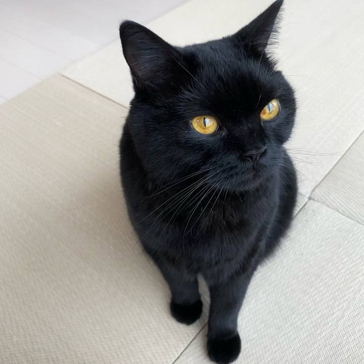 Ebd06289 b27a 4505 b4ba df270373c478 1633308731602