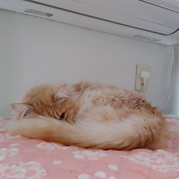 Ebd09700 1cd0 445d b5d1 c718e4ce7bf8 1708139494869