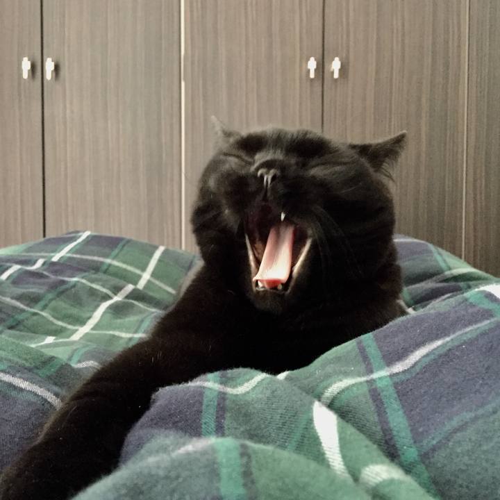 Ebd0c7e0 fc56 442e b842 4e40a13e16e3 1591312443628