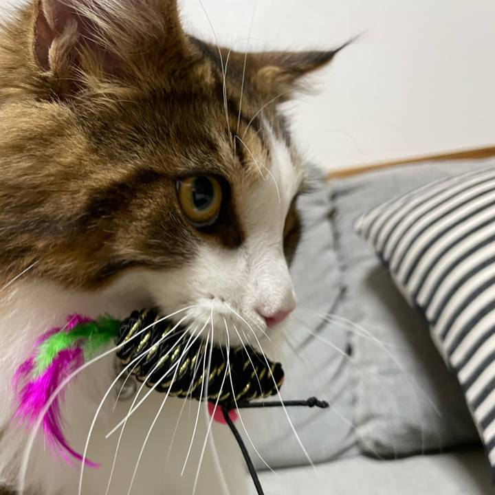 Ebd0f93b edbf 4f24 a72f fdb6a5a93b63 1642368807212