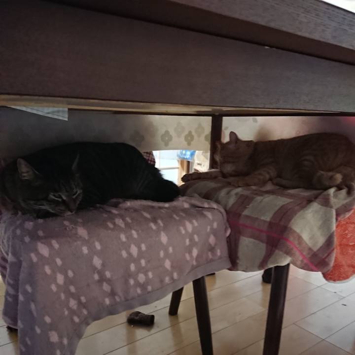 Ebd10648 a502 430e b349 aa8a60c9e7ae 1642971337077