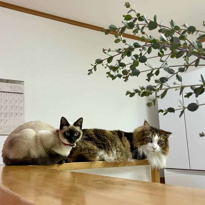 Ebd11d33 958f 4a1a b334 0f80e474e20b 1705398310306