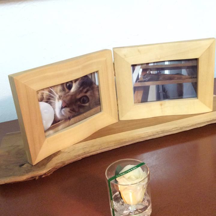 Ebd134da 2039 4e17 bd28 61744303fe6a 1570288715596