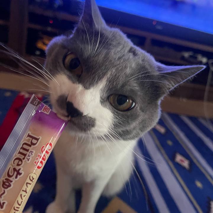 Ebd15020 cf0e 4498 a847 7cfe28189dfd 1667127151271