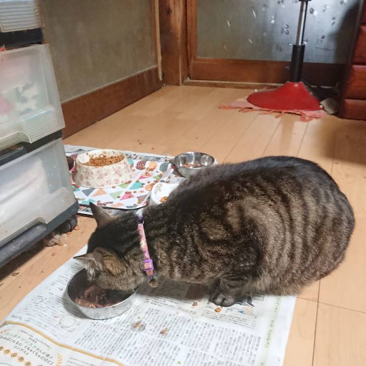 Ebd17b1d a374 4085 949c 536844b528e3 1652653154851