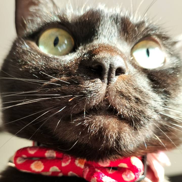 Ebd1ab75 785b 4e75 8fcf 40305eb61a46 1643452721228