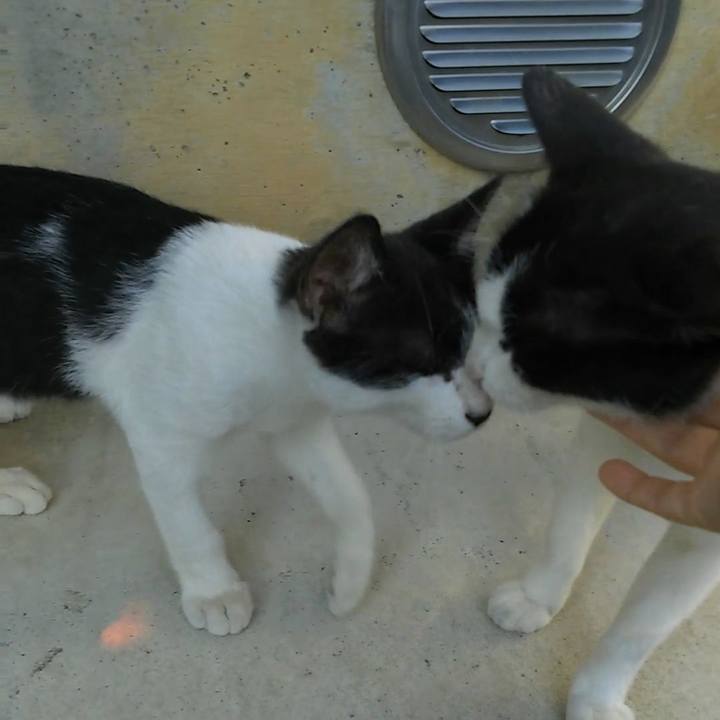 Ebd1e977 4844 40d9 96fb efe1f2fdc7d2 1533211121978