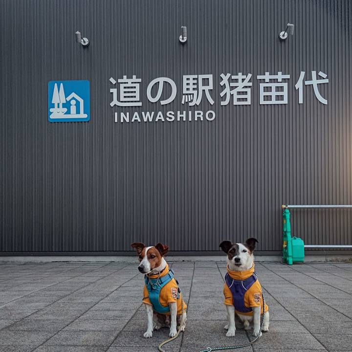 Ebd23542 720c 467e a702 04db433d8e66 1684620016050