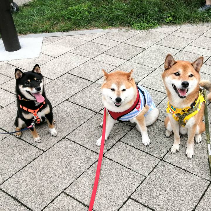 Ebd2acd5 85de 4572 97ba 935745647b1a 1601189424156