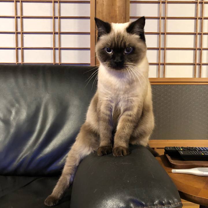 Ebd2ad70 6772 4dcb 98c5 f9951822f99a 1604359571876