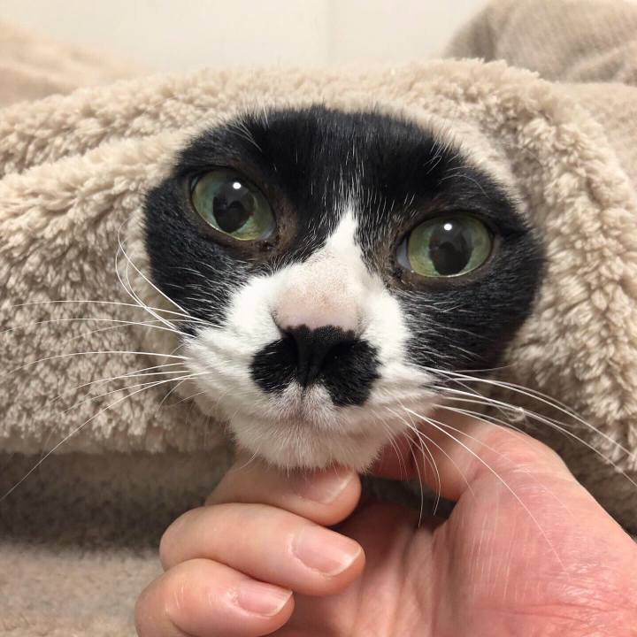 Ebd2b8c0 be10 44f6 ab18 f63d863758b2 1607845533330